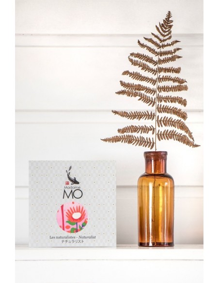 Koinobori Flamingo (M) MADAME MO