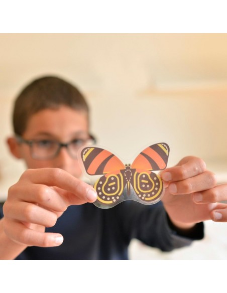 Poster Pédagogique + 44 stickers INSECTES (6-12 ans) - POPPIK