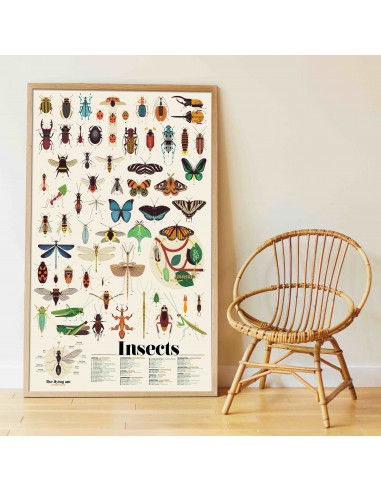 Poster Pédagogique + 44 stickers INSECTES (6-12...