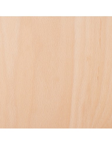 Planche d'équilibre Classique en bois avec...