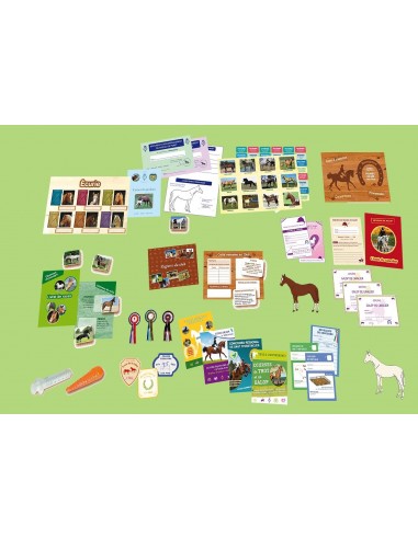 Mon Poney Club - AMULETTE 7+