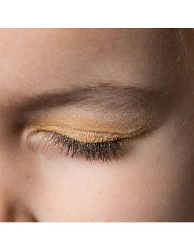 Palette 7 fards à paupières maquillage festifs...