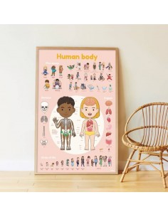 Poster pédagogique + 49 stickers LE CORPS HUMAIN (4-7... 2