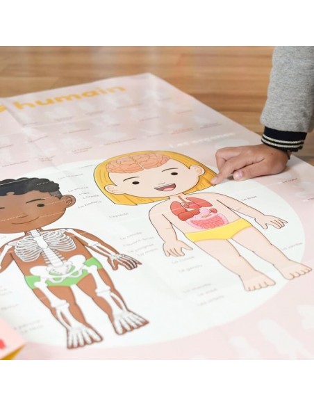 Poster pédagogique + 49 stickers LE CORPS HUMAIN (4-7 ans)- POPPIK