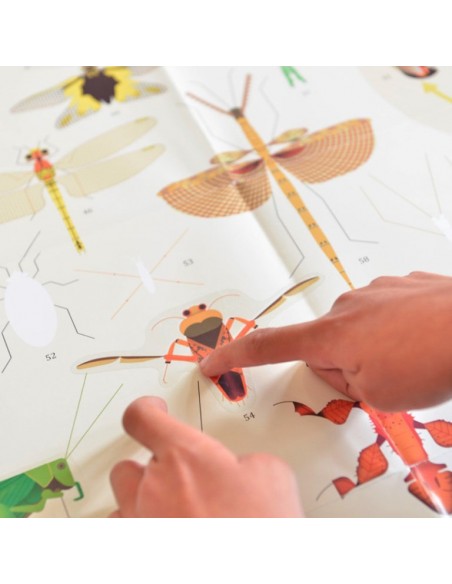 Poster Pédagogique + 44 stickers INSECTES (6-12 ans) - POPPIK