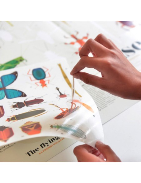 Poster Pédagogique + 44 stickers INSECTES (6-12 ans) - POPPIK