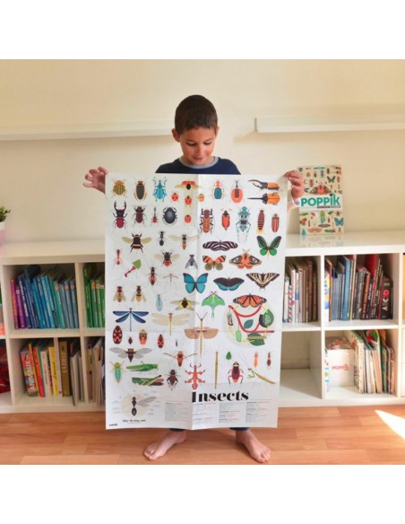 Poster Pédagogique + 44 stickers INSECTES (6-12 ans) - POPPIK