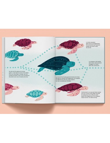 Suis du doigt la tortue de mer - LA CABANE...