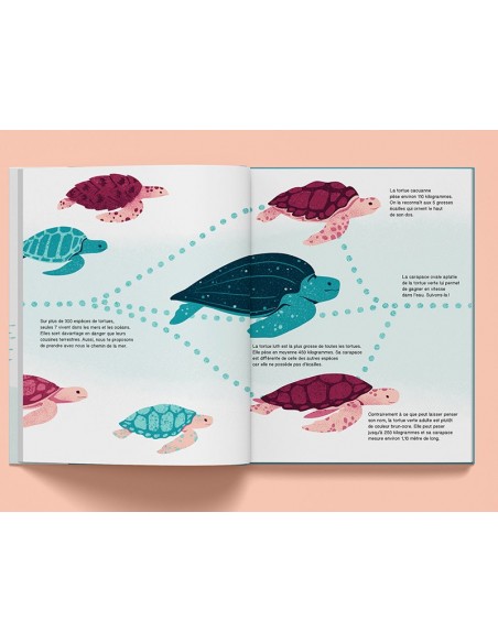 Suis du doigt la tortue de mer - LA CABANE BLEUE éditions