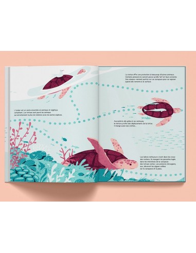 Suis du doigt la tortue de mer - LA CABANE...