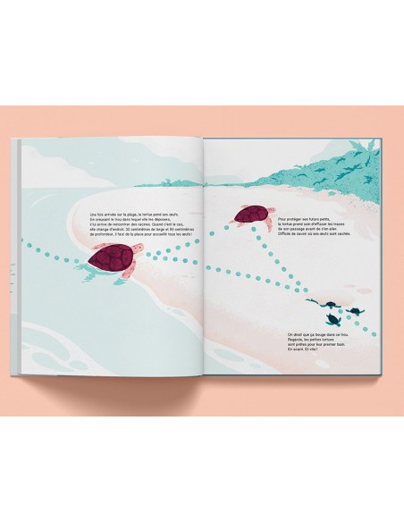 Suis du doigt la tortue de mer - LA CABANE BLEUE éditions