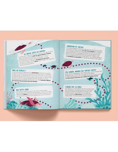 Suis du doigt la tortue de mer - LA CABANE...