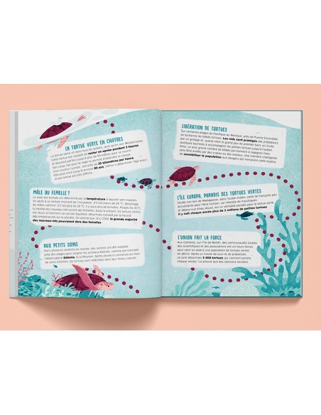 Suis du doigt la tortue de mer - LA CABANE BLEUE éditions