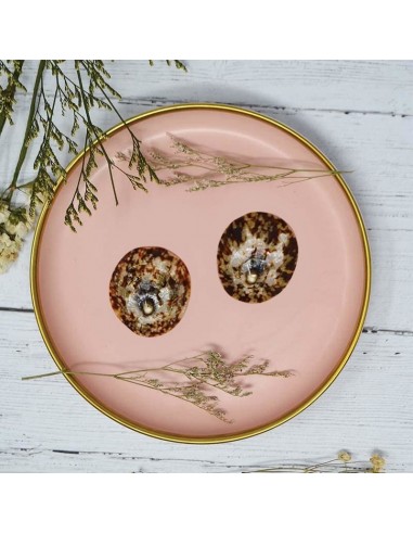 Coquillage d'allaitement - protection mammaire