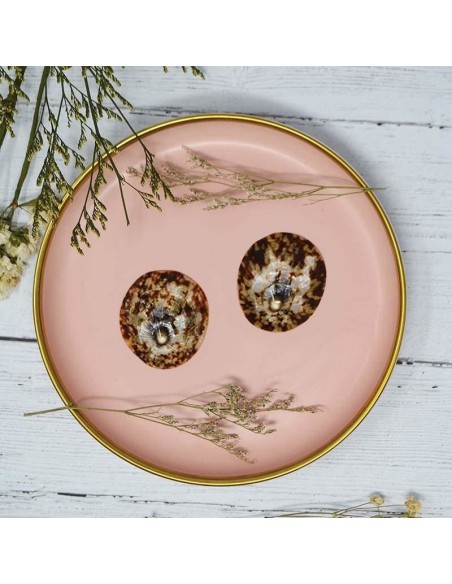 Coquillage d'allaitement mammaire - IRREVERSIBLE