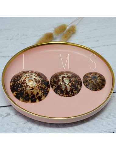 Coquillage d'allaitement mammaire - IRREVERSIBLE