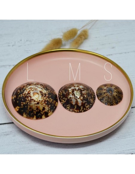 Coquillage d'allaitement - protection mammaire