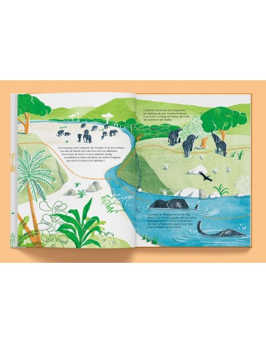 Suis du doigt l'éléphant - LA CABANE BLEUE...