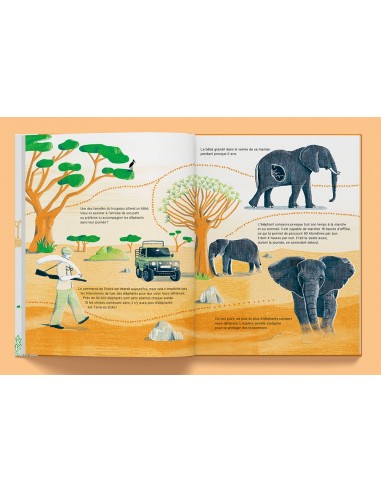 Suis du doigt l'éléphant - LA CABANE BLEUE...