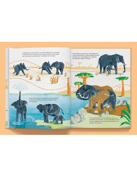 Suis du doigt l'éléphant - LA CABANE BLEUE éditions