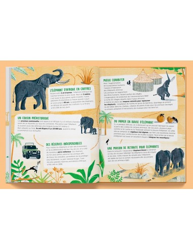 Suis du doigt l'éléphant - LA CABANE BLEUE...