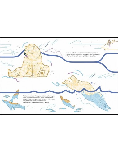 Suis du doigt l'ours polaire - LA CABANE BLEUE...