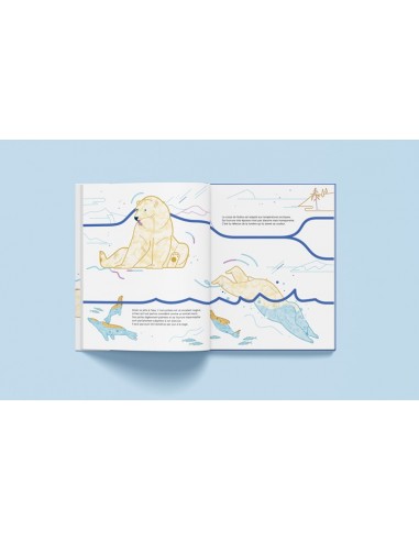 Suis du doigt l'ours polaire - LA CABANE BLEUE...