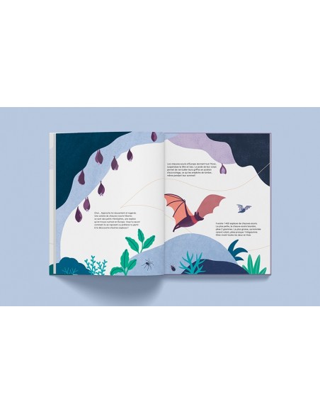 Suis du doigt la chauve-souris - LA CABANE BLEUE éditions