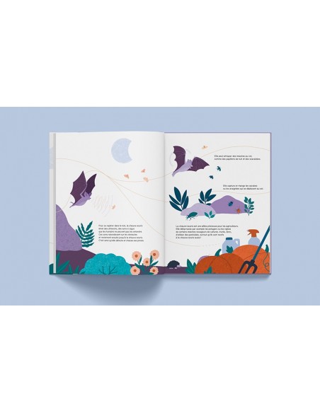 Suis du doigt la chauve-souris - LA CABANE BLEUE éditions