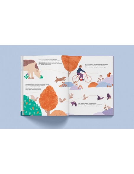 Suis du doigt la chauve-souris - LA CABANE BLEUE éditions