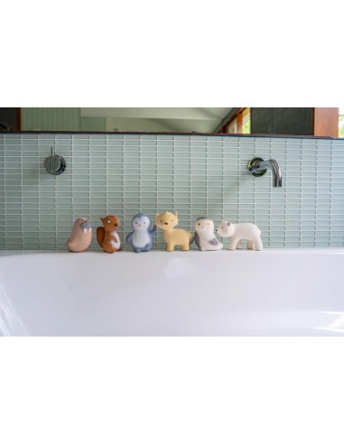 Mon premier animal arctique en caoutchouc...