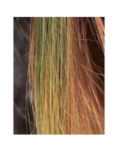 Mascara pour cheveux enfant Vert - NAMAKI 2