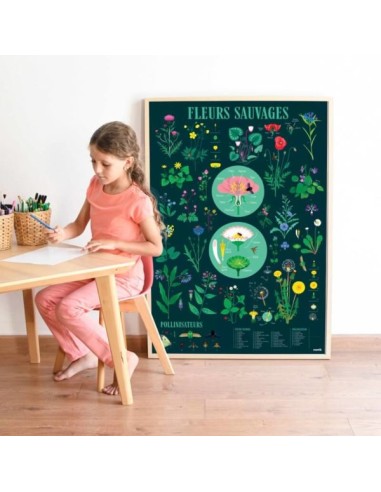 Poster pédagogique + 72 stickers BOTANIQUE -...