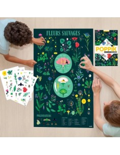 Poster pédagogique + 72 stickers BOTANIQUE - POPPIK 7+ 2