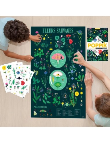 Poster pédagogique + 72 stickers BOTANIQUE -...