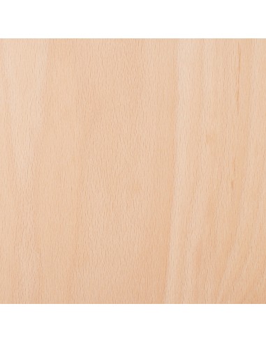 Planche d'équilibre Moon en bois (sans feutre)...