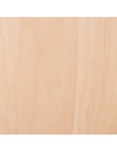 Planche d'équilibre Classique en bois avec feutrage et... 2