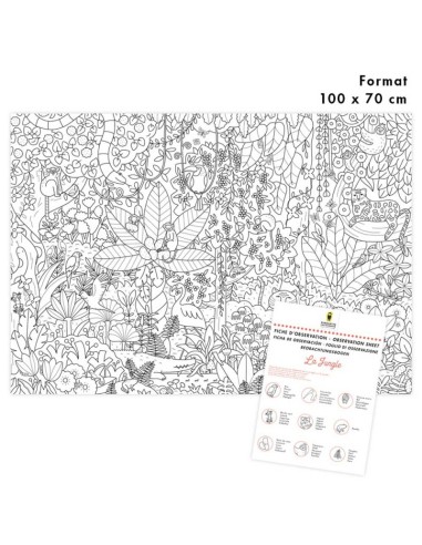 Mes poster à colorier - JUNGLE - PIROUETTE...