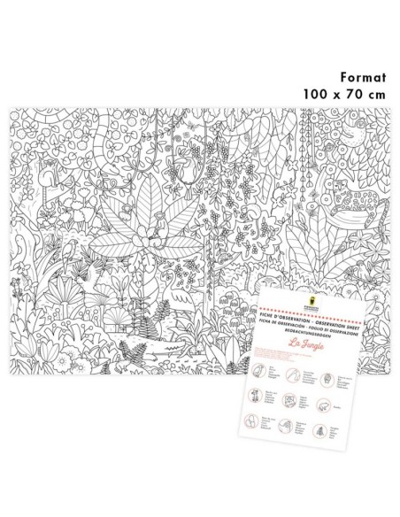 Mes poster à colorier - JUNGLE - PIROUETTE CACAHOUETE 4+