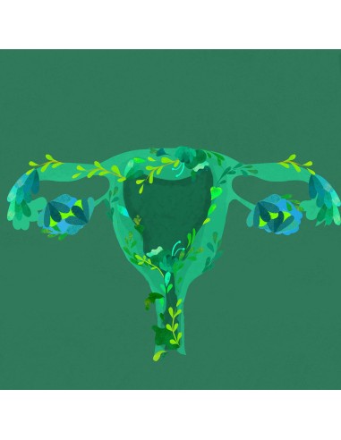 Le petit illustré de l'intimité T1- la vulve -...