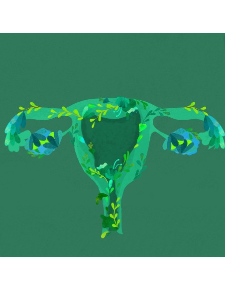 Le petit illustré de l'intimité T1- la vulve - L'ATELIER DE LA BELLE ÉTOILE