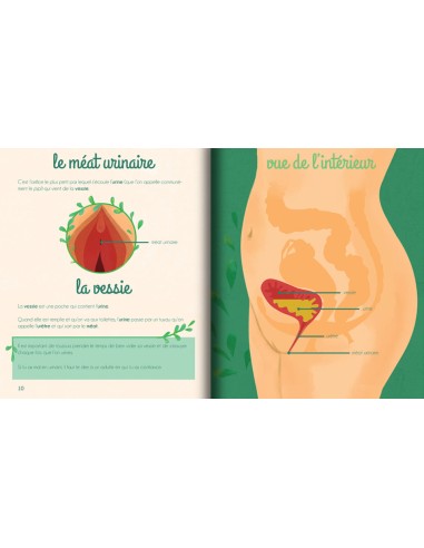 Le petit illustré de l'intimité T1- la vulve -...