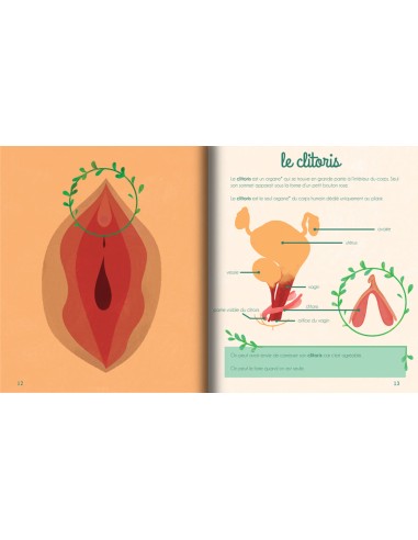 Le petit illustré de l'intimité T1- la vulve -...