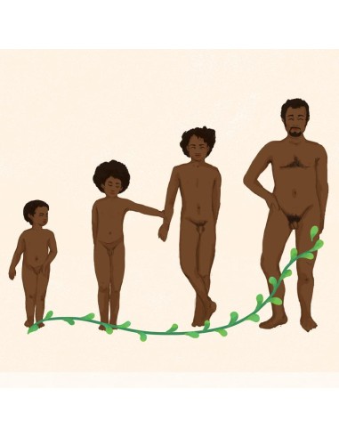 Le petit illustré de l’intimité T2 - le pénis -...