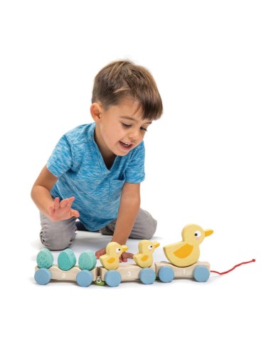 Canards à Tirer - TENDER LEAF 18M+