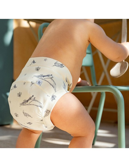 Culotte lavable T.MAC - Pélagos - HAMAC