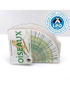 Carnet Oiseaux des villes et jardins - LES CARNETS DE...