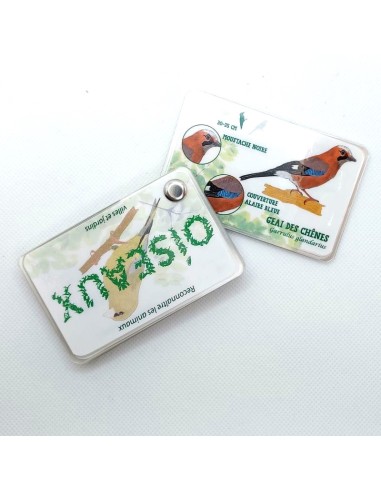 Carnet Oiseaux des villes et jardins - LES...