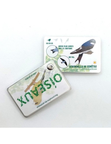 Carnet Oiseaux des villes et jardins - LES CARNETS DE PIERRE 3+