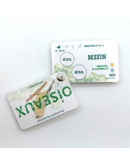 Carnet Oiseaux des villes et jardins - LES CARNETS DE PIERRE 3+